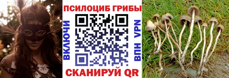 Галлюциногенные грибы мицелий  MEGA маркетплейс  Теберда 